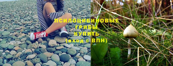 героин Алексин